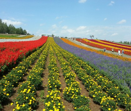 花海