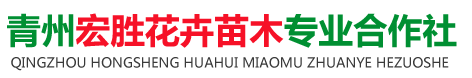 青州宏胜花卉苗木专 业合作社　